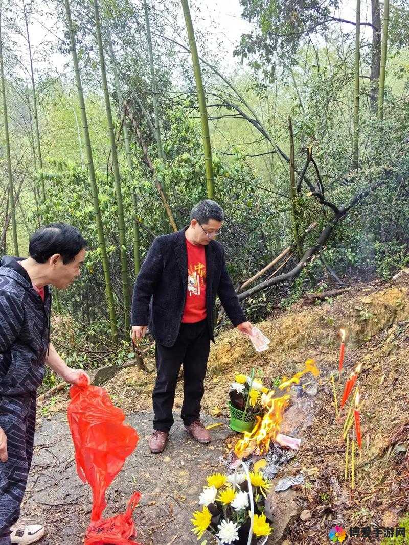 周莹回老家祭祖后续：家族传承与情感纠葛的新篇