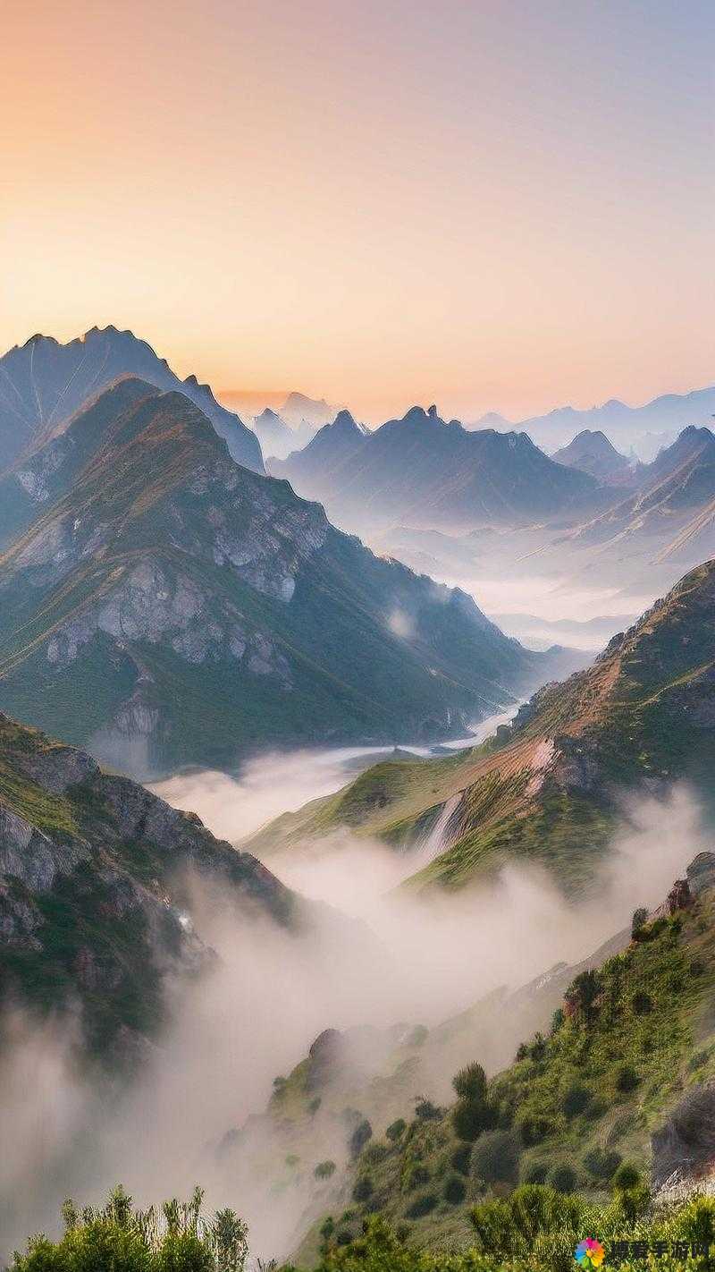 带你领略中国 XXX 视频的自由之美
