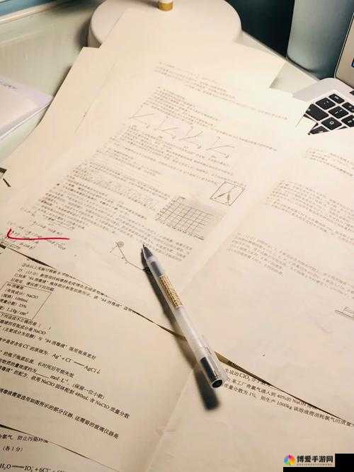 作业 PLAY 错一题一支笔：惩罚还是激励？
