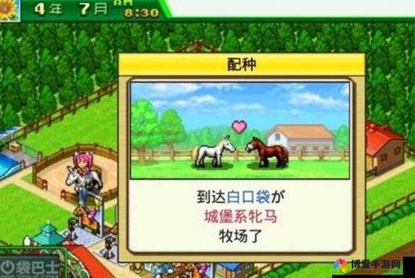 顶级跑马牧场，培育冠军之路