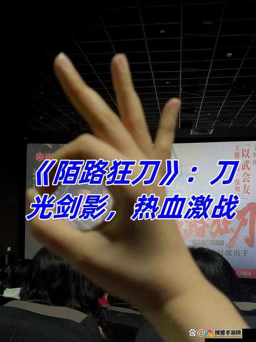 烈火狂刀（热血再现），刀光剑影中的英雄史诗