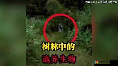 yw8833龙物:探索神秘事物背后的未知领域