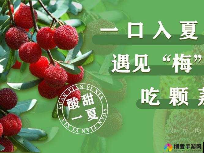 荔枝视频在线观看：高清流畅，畅享无限精彩