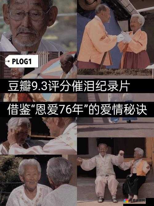适合夫妻两个人看的纪录片:携手品味的温馨影像之旅