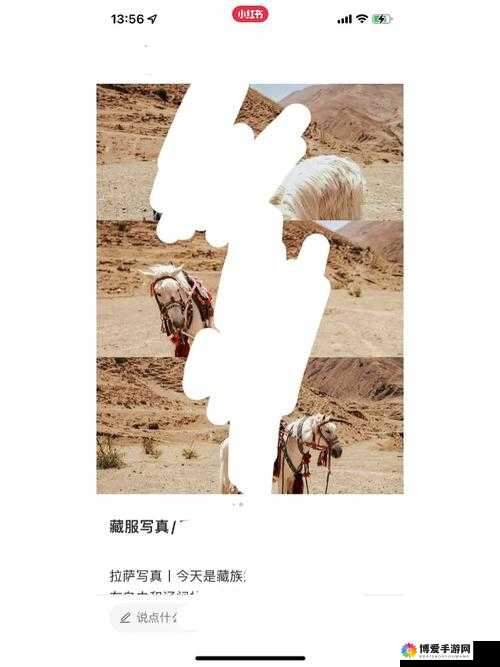 天堂草原影院电视剧:一场关于草原的视听盛宴