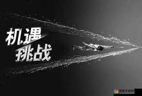 国产网战无遮挡：挑战与机遇