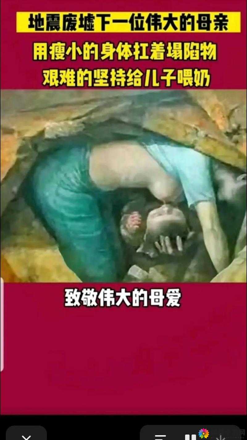 深沉的母爱：一位母亲和她儿子的故事