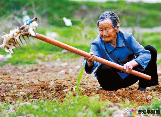 在母亲肥沃的土地上辛勤耕耘
