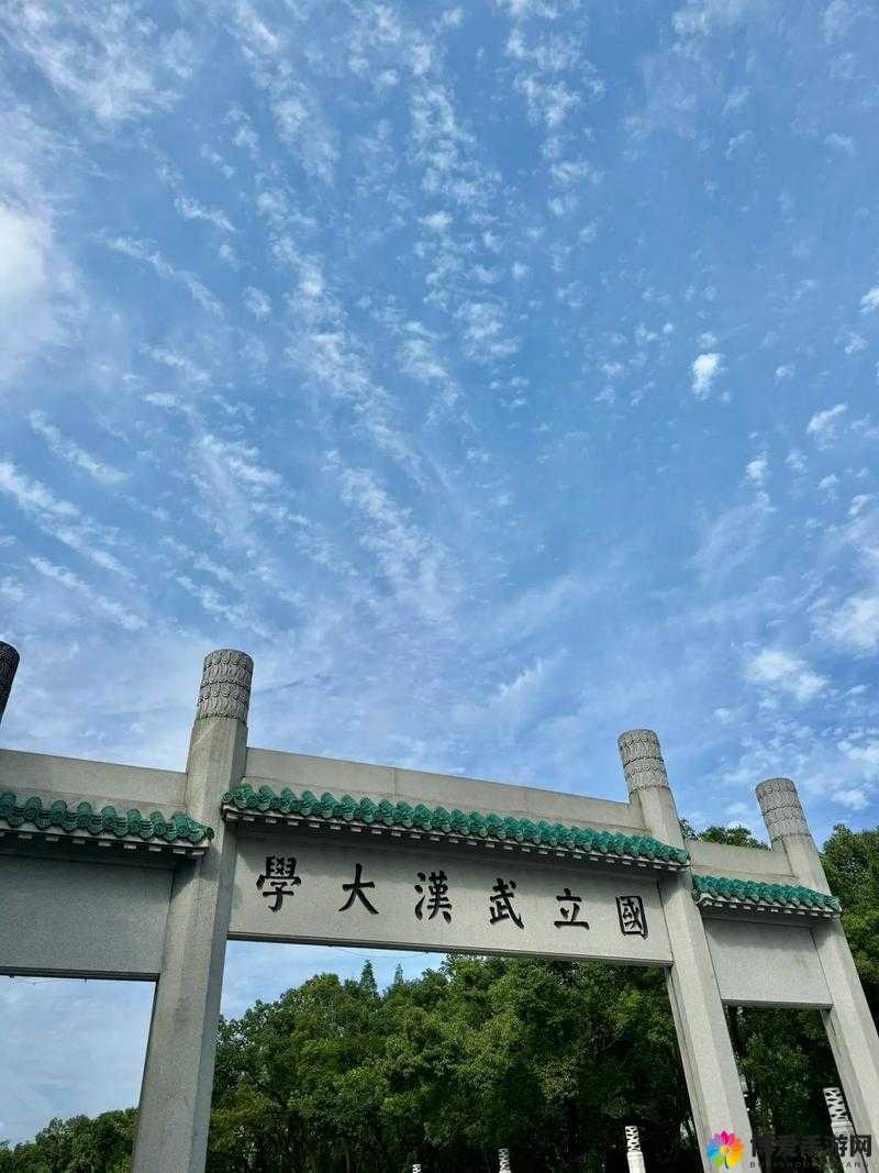 以武大内野 CAMPBUDDY 为中心,带你领略不一样的校园生活