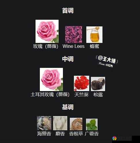 夜色玫瑰比无人区玫瑰贵多少之两者价格差异详细对比分析