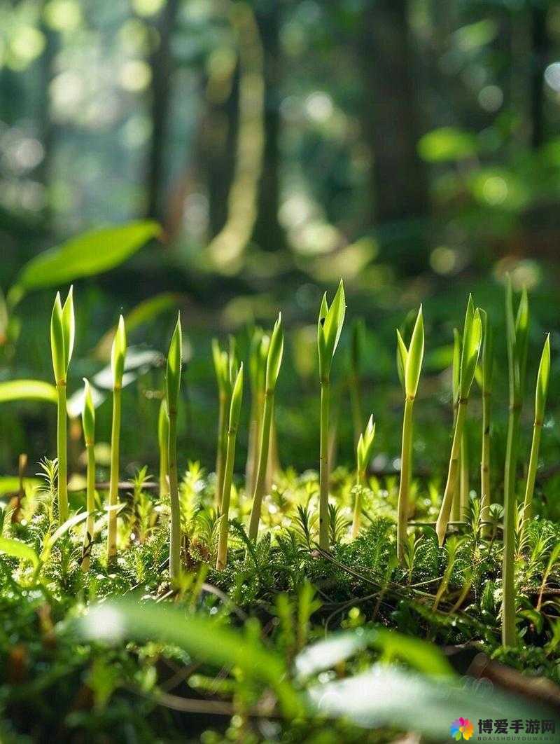 阳光下的生机：探寻自然万物蓬勃生长的力量源泉