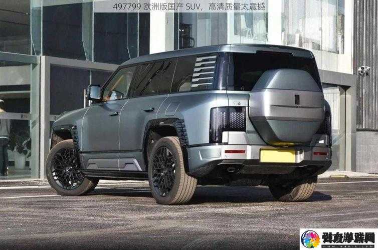 497799 欧洲版国产 SUV 性能如何:全面解析与评价