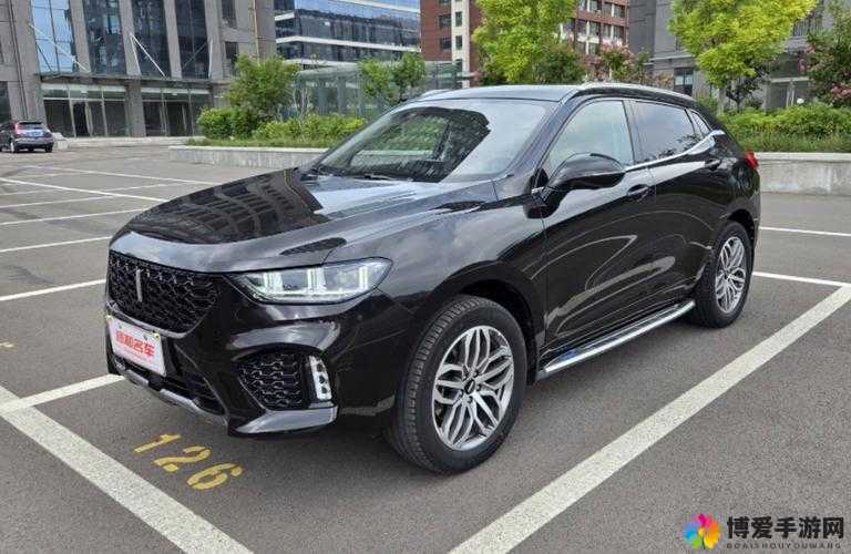 Wey VV5 国产 SUV：颜值与实力并存
