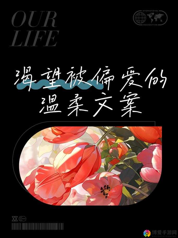 极致偏爱 1vs2：一场独特且充满魅力的情感角逐