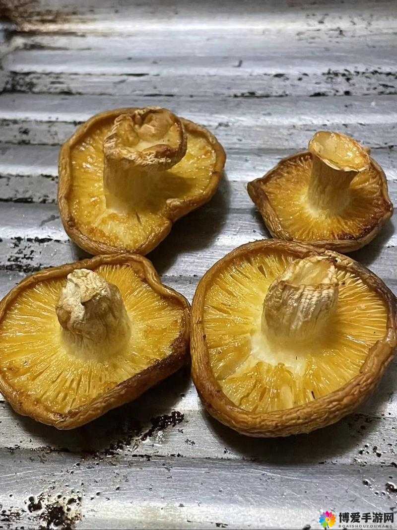 9612 黄桃亚洲品质蘑菇：美味可口营养丰富的特色食材