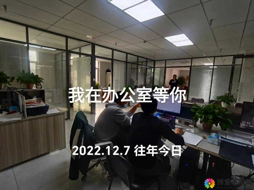 办公室强肝每周五晚八点播出:精彩内容等你来观