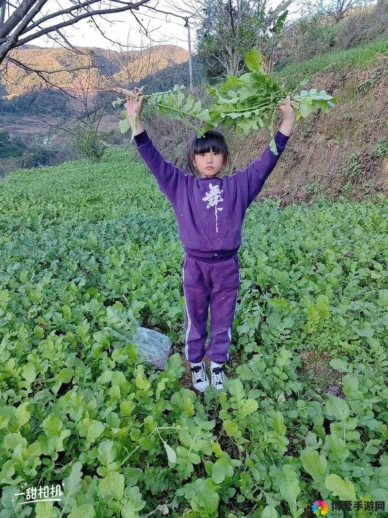 12 岁女孩拔萝卜最有效的一句：分享背后的秘密与技巧