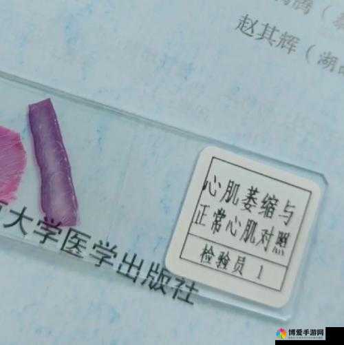 超脱力医院病理图鉴大全,选择恐惧症详解