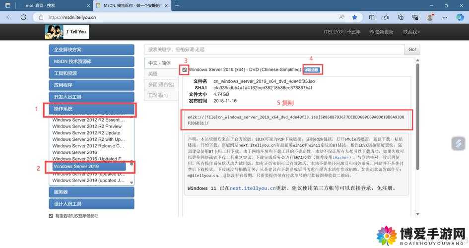日本 windowsserver 系统的优势与应用场景分析