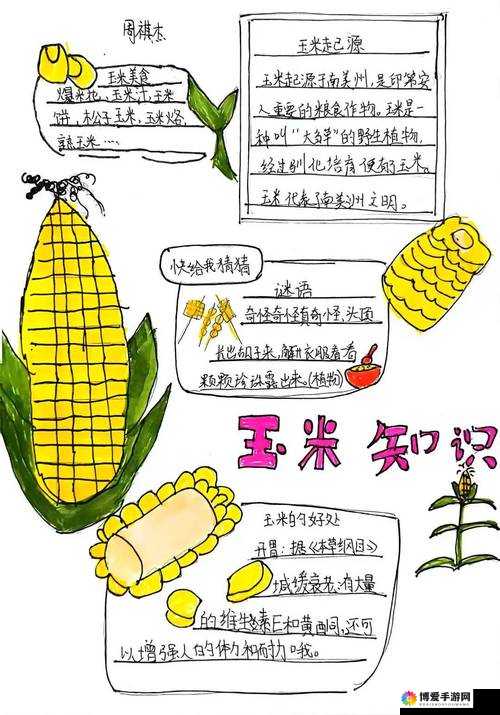 玉米地方的那些事儿：探究地方特色与文化