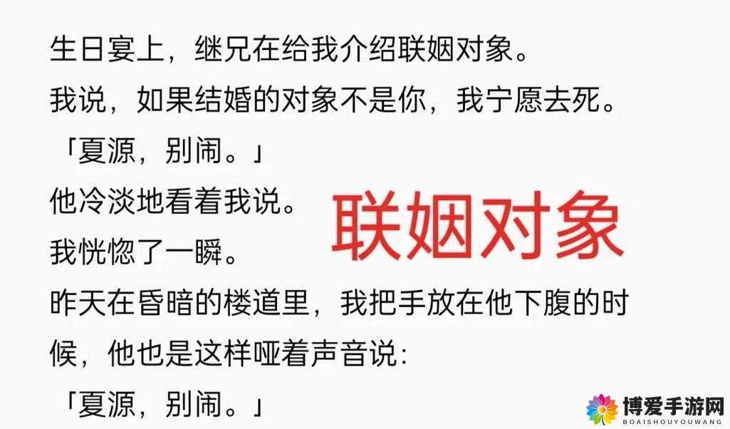 联姻对象 11h：携手共赴美好未来的约定与期许