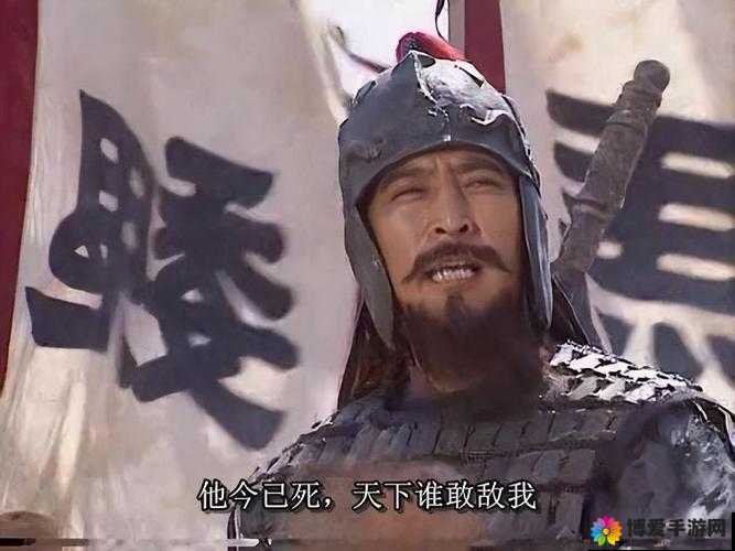 小小军团合战三国魏延资料