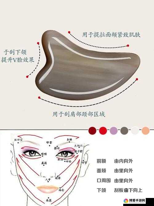 C 人动作教程：全方位详细解析与实用技巧分享