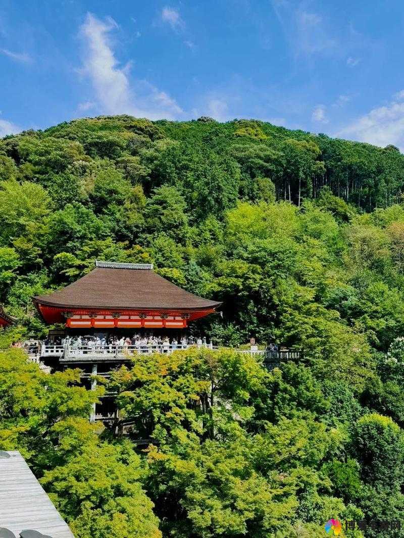 浓毛 BWBWBWBWBW 日本的独特魅力与风情