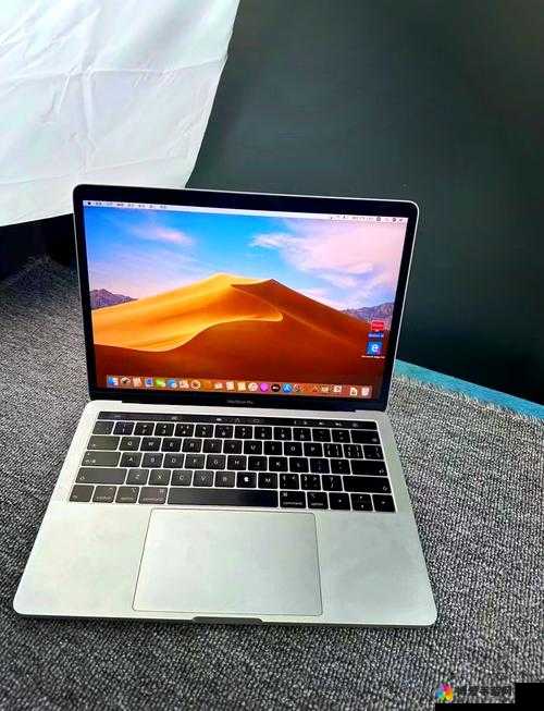 18-19 MACBOOK PRO 高清：极致视觉体验之选