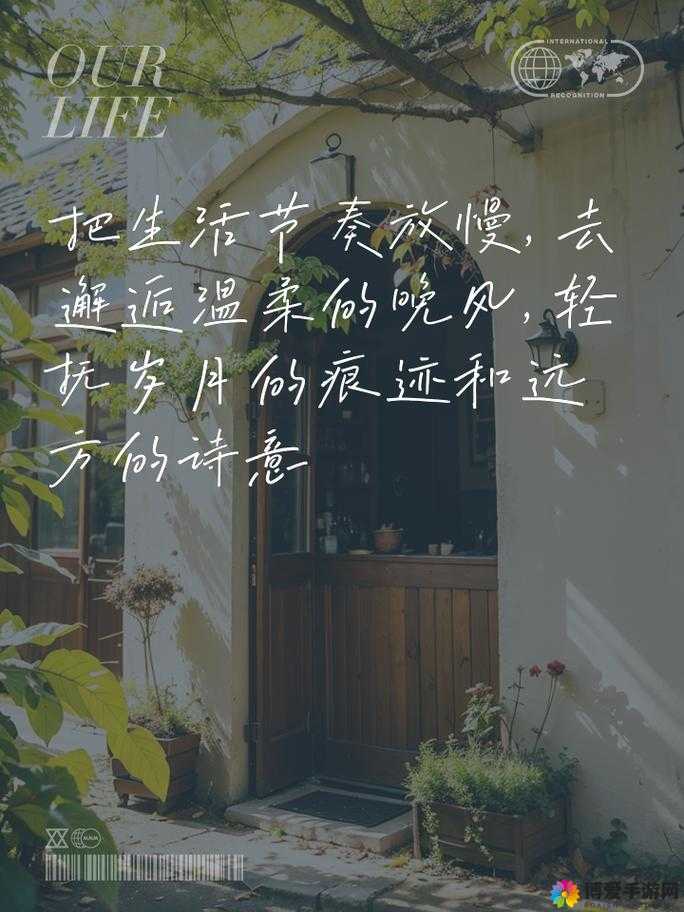 寂寞空庭春欲晚吃馒头：在寂寞中品味美食的宁静时光