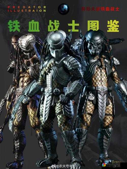 异形大战铁血战士种族介绍:探秘两个强大种族的奥秘与冲突