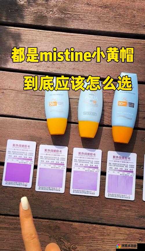 蜜丝婷大草莓与小草莓的详细对比：全方位解析二者差异