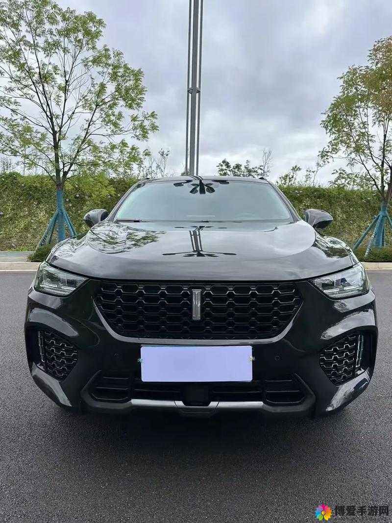 weyvv5 国产 SUV 视频：卓越性能引领驾驶新潮流
