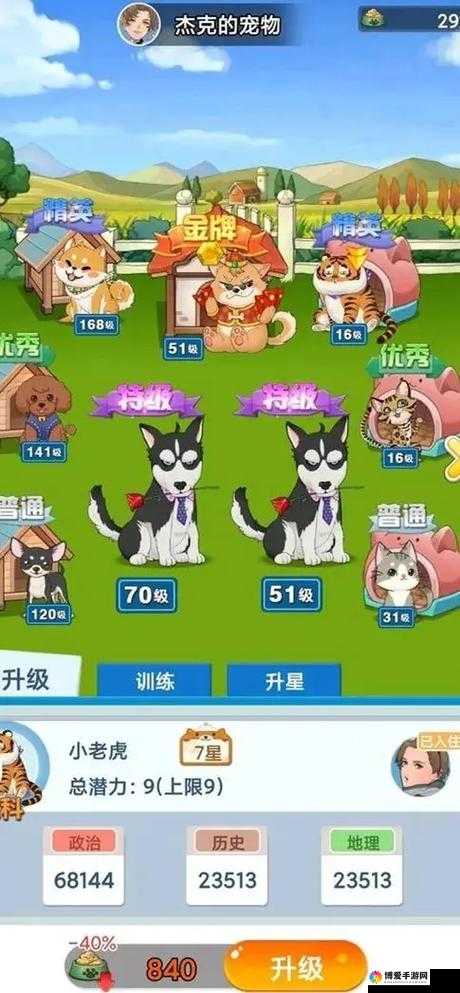 全民X结义宠物养成攻略，资源管理的艺术