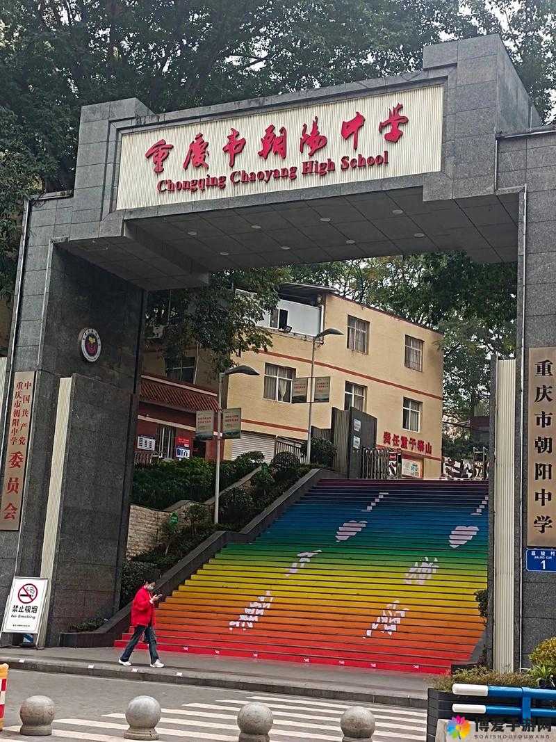 朝阳初升校园 11h:青春活力绽放梦想飞扬之地