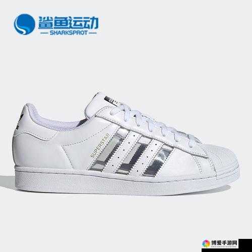 三叶草 FY7717：踏上奇幻冒险之旅