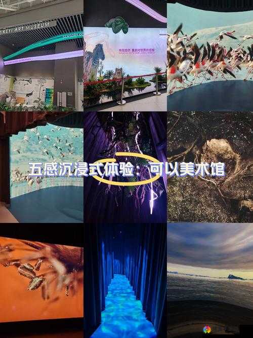 意大利大尺我从未见过你罪梦空间的体验：一场打破常规的沉浸式之旅