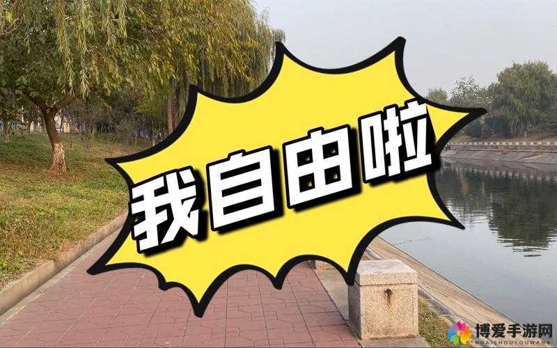 取消进出限制：恢复自由，促进发展