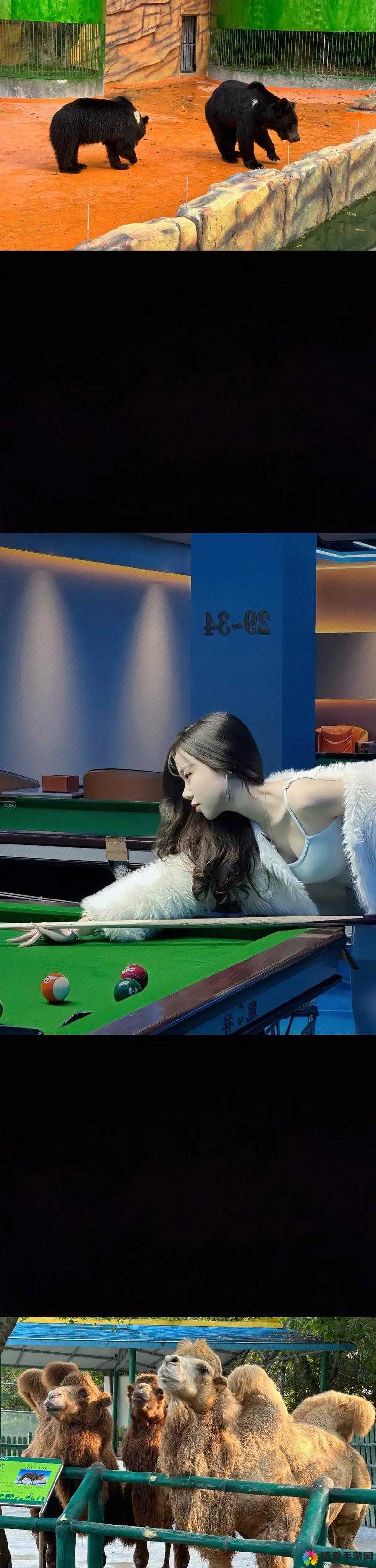 台球女激战 2 奶玉最佳搭配韩国：其背后的故事与魅力解析