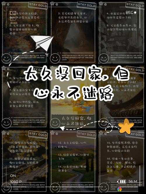 让回家之路不再迷茫：小草回家永不迷路 2024