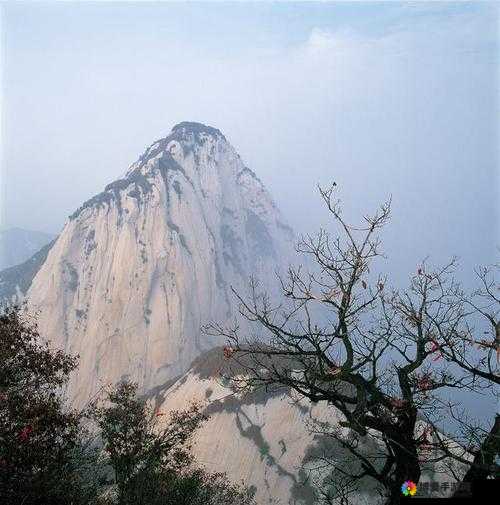 又白又大的两座峰：那令人惊叹的自然奇景引人入胜