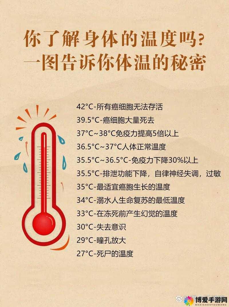 如何感受我那滚烫温度的秘密：一位资深人士的坦诚分享