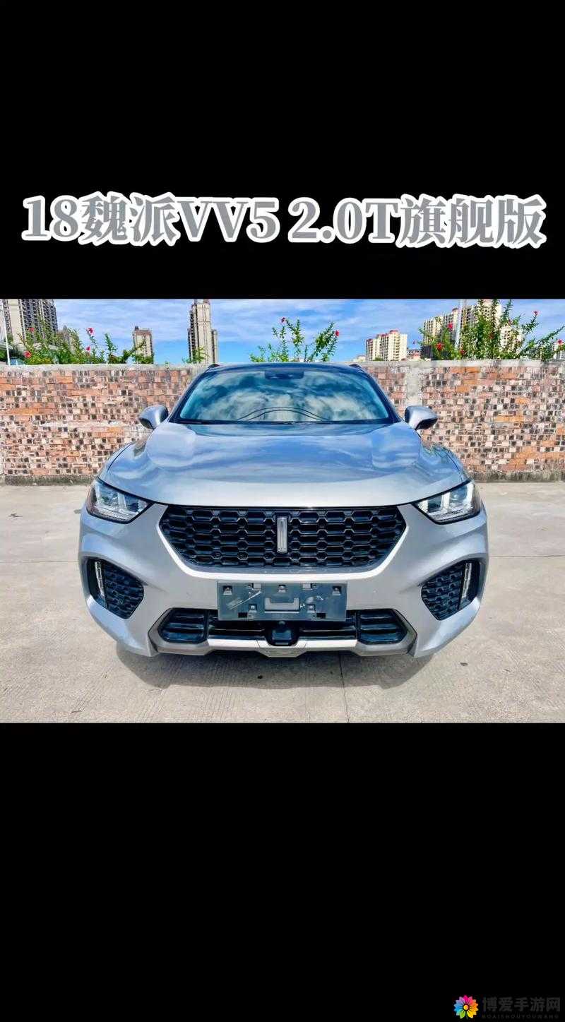 WEY VV5 国产 SUV 全新体验，感受驾驶乐趣