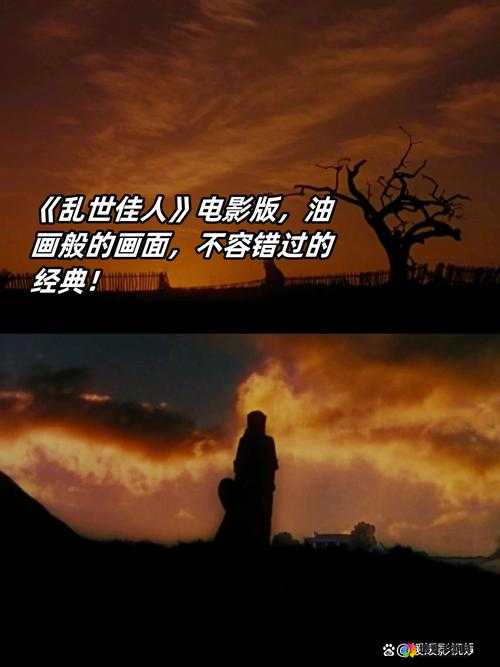 适合晚上一个人看的电影有什么-以下这些影片不容错过