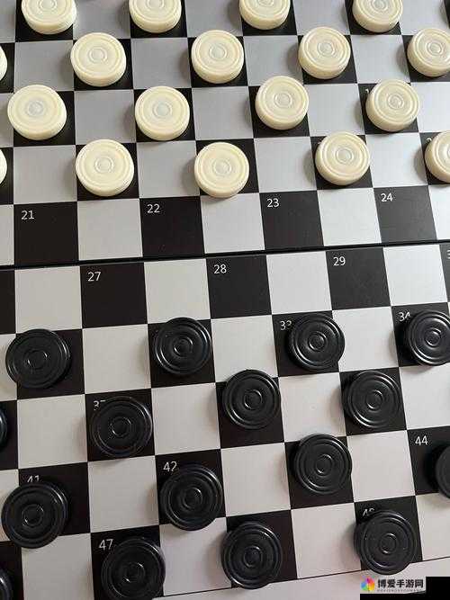 T1 棋子一览：深度解析各棋子的属性与策略运用