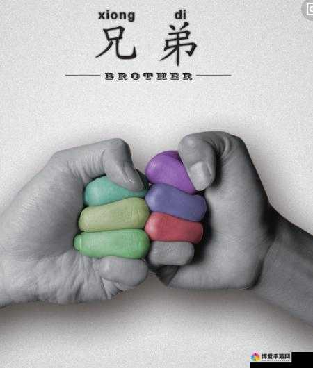 兄弟情深，携手共赴未来之璀璨征程