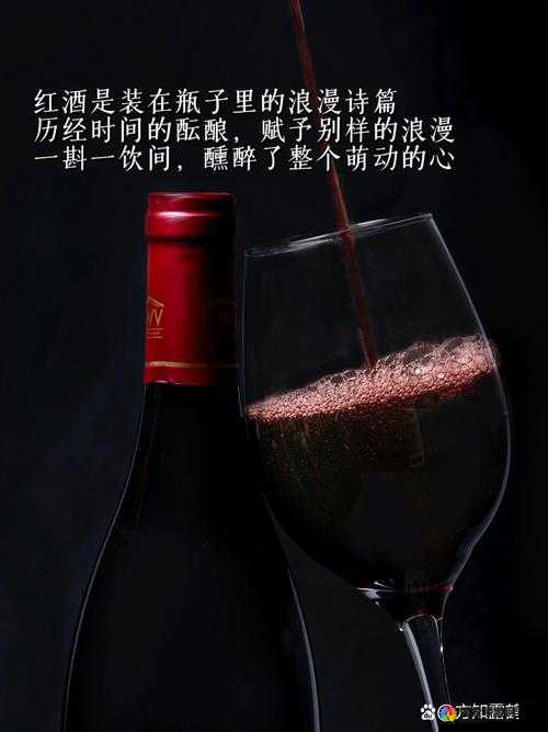 红酒装不下了 1V2 的解决方案：探索多种存储策略