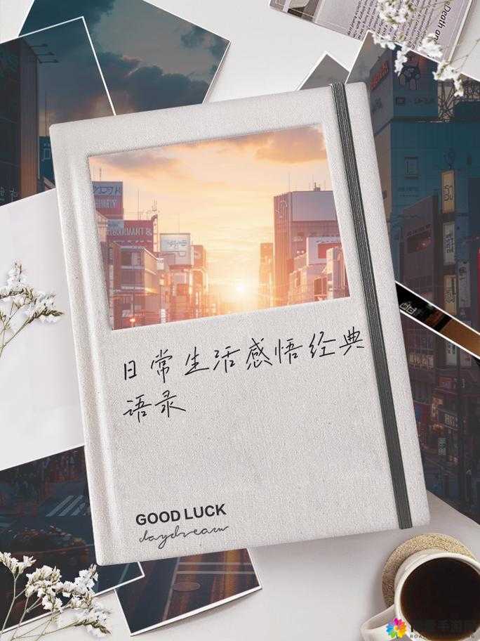 50YEARGRANDMOTHER 生活中的智慧与温暖岁月的故事