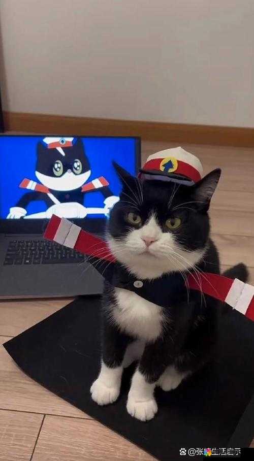 黑猫警长新手快速升级攻略