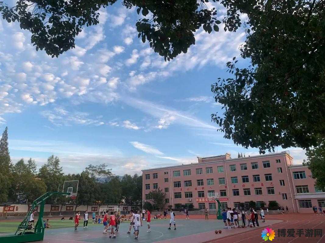 答案：校园 1V1 ：探索专属你的校园成长之旅